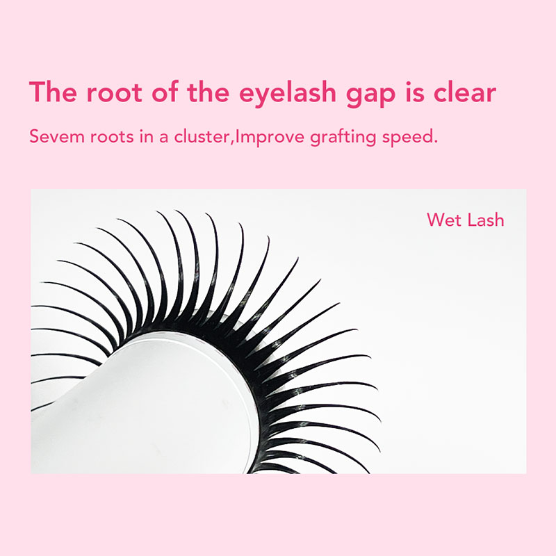 DIYDAY 5D 妖精まつげエクステンション既成ウェットま - Eyelash Extension Wet Look のレビューと価格